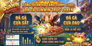 Tổng quan hạ tầng sảnh cược đá gà Sunwin trực tuyến